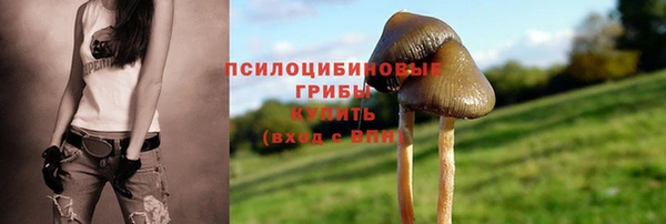 МДМА Новодвинск