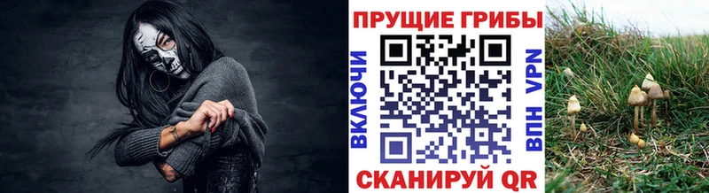 наркота  Закаменск  Галлюциногенные грибы мицелий 